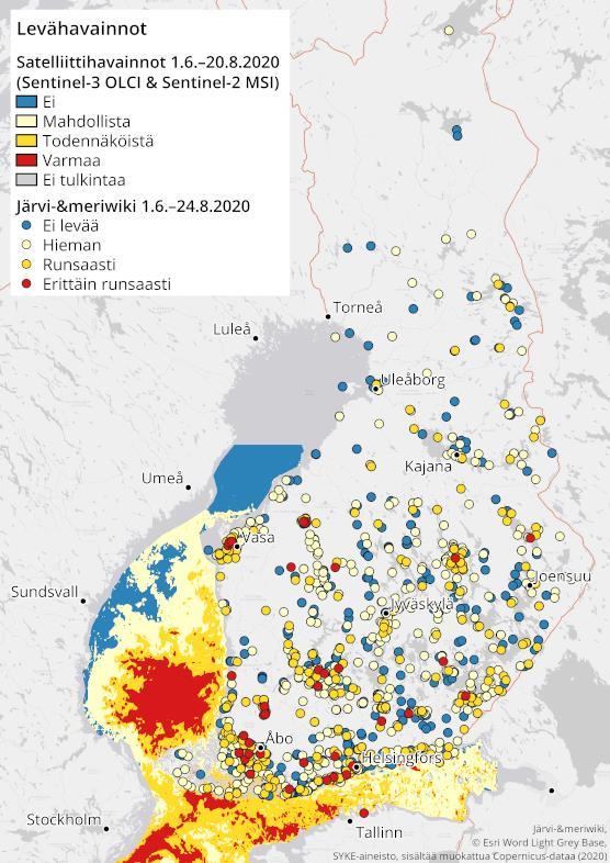 pintaleväkooste levätiedote fin 556px